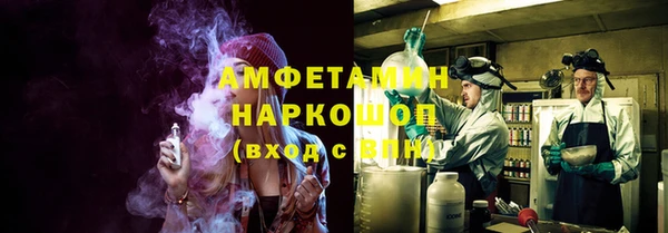 сатива Куйбышев