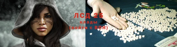 сатива Куйбышев