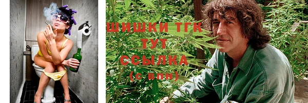 сатива Куйбышев