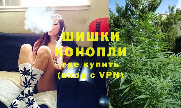 сатива Куйбышев