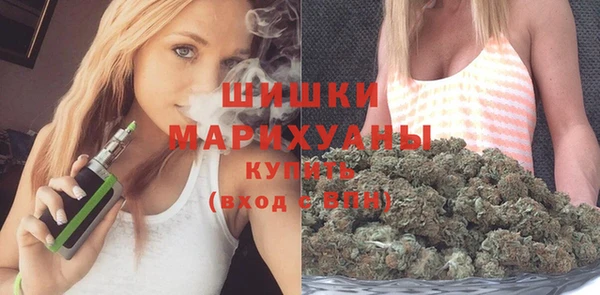 сатива Куйбышев