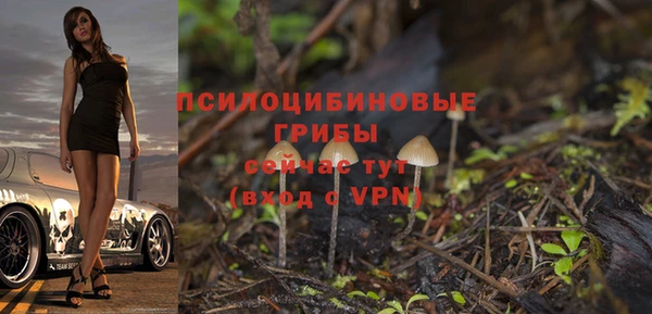 сатива Куйбышев