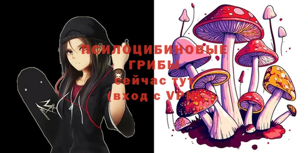 сатива Куйбышев