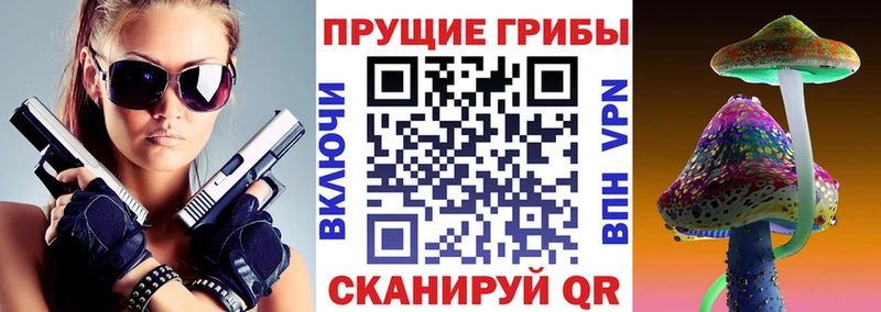 Купить  Каменск-Шахтинский  Псилоцибиновые грибы GOLDEN TEACHER 